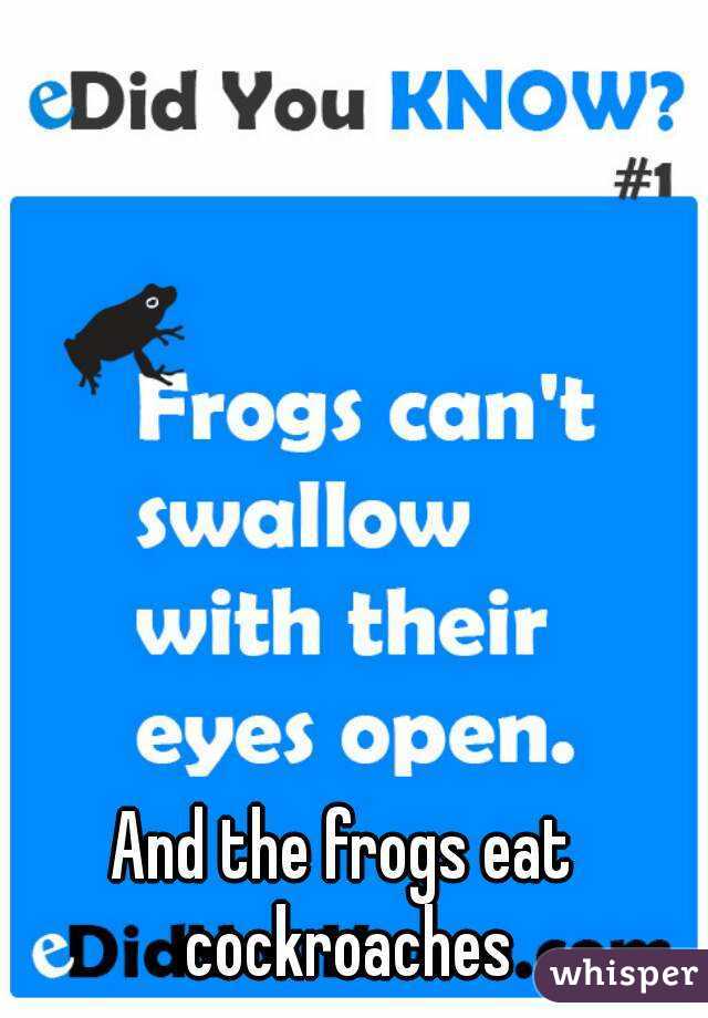 And the frogs eat cockroaches