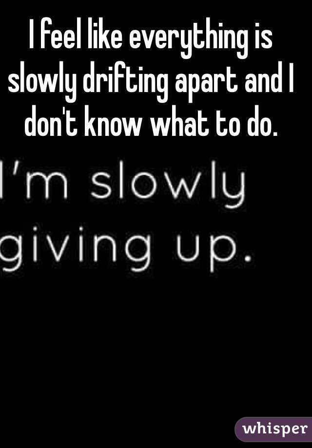 I feel like everything is slowly drifting apart and I don't know what to do. 