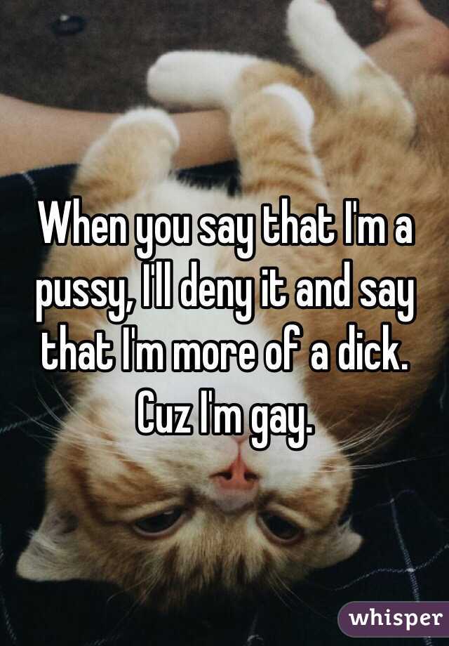 When you say that I'm a pussy, I'll deny it and say that I'm more of a dick. Cuz I'm gay.