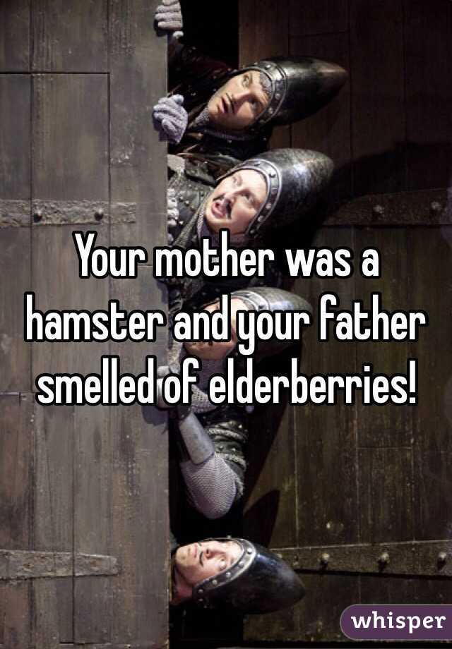 Your mother was a hamster and your father smelled of elderberries!