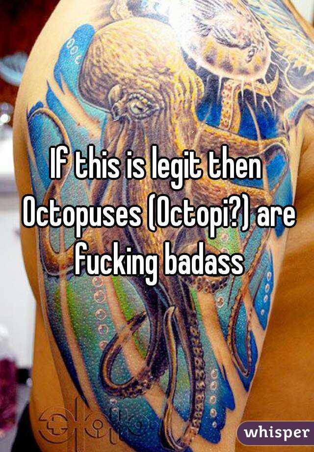 If this is legit then Octopuses (Octopi?) are fucking badass