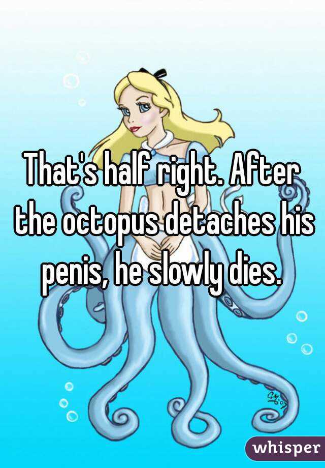 That's half right. After the octopus detaches his penis, he slowly dies. 