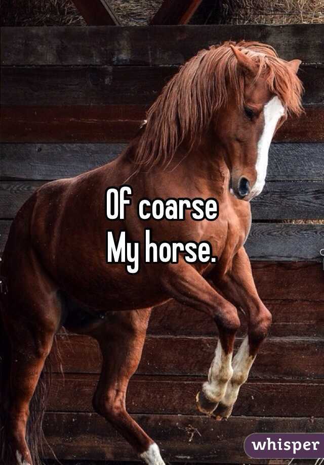 Of coarse
My horse.