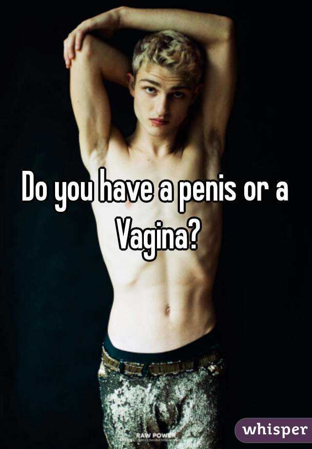 Do you have a penis or a Vagina?