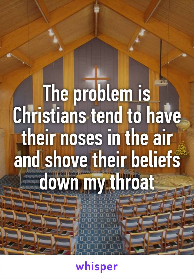 The problem is Christians tend to have their noses in the air and shove their beliefs down my throat