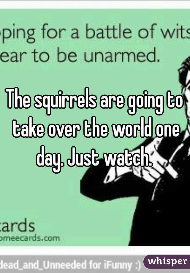 The squirrels are going to take over the world one day. Just watch. 