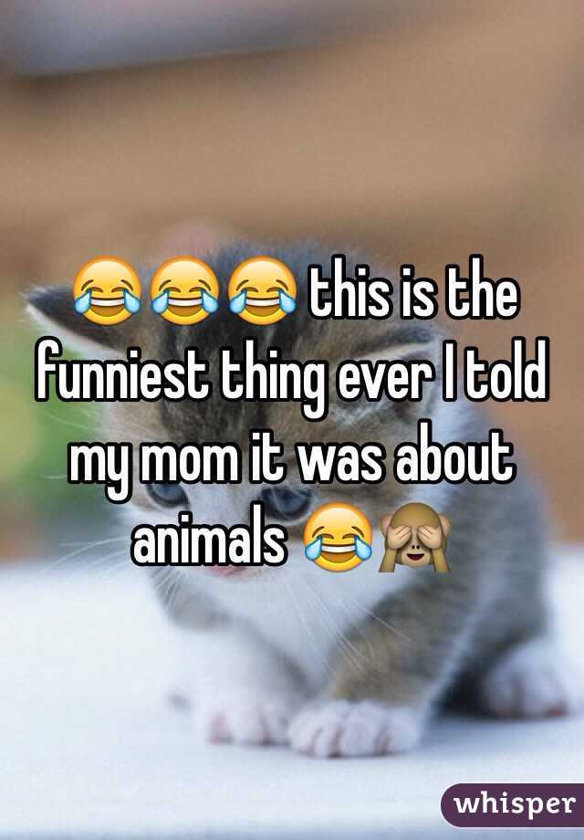 😂😂😂 this is the funniest thing ever I told my mom it was about animals 😂🙈