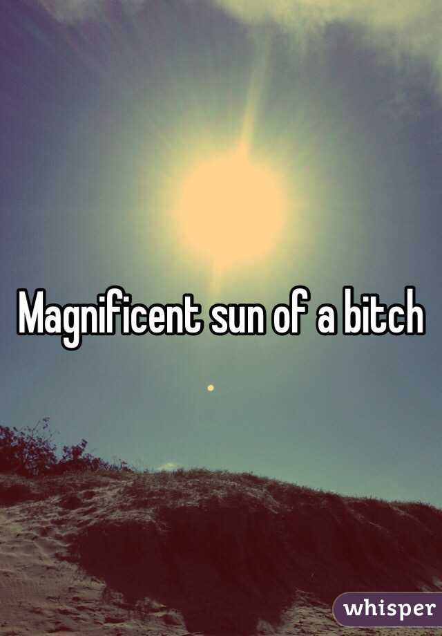 Magnificent sun of a bitch