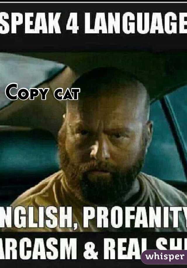 Copy cat 
