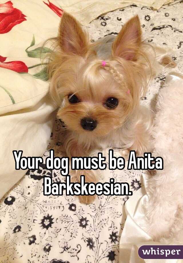 Your dog must be Anita Barkskeesian.
