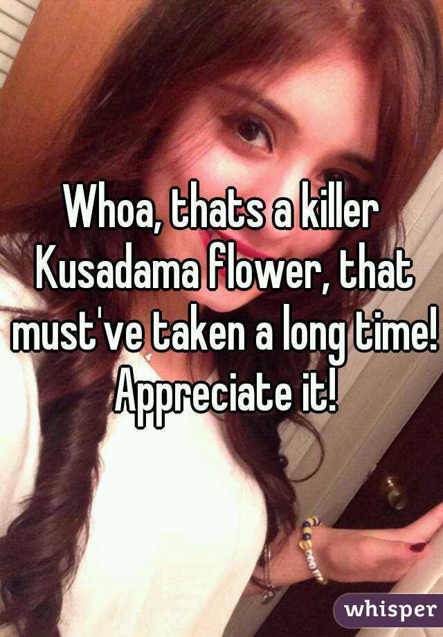 Whoa, thats a killer Kusadama flower, that must've taken a long time! Appreciate it!