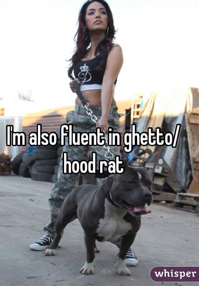 I'm also fluent in ghetto/hood rat