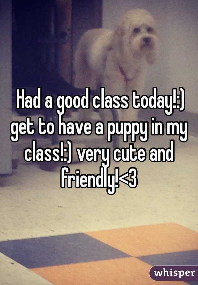  Had a good class today!:) get to have a puppy in my class!:) very cute and friendly!<3 