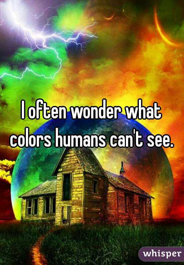 I often wonder what colors humans can't see. 