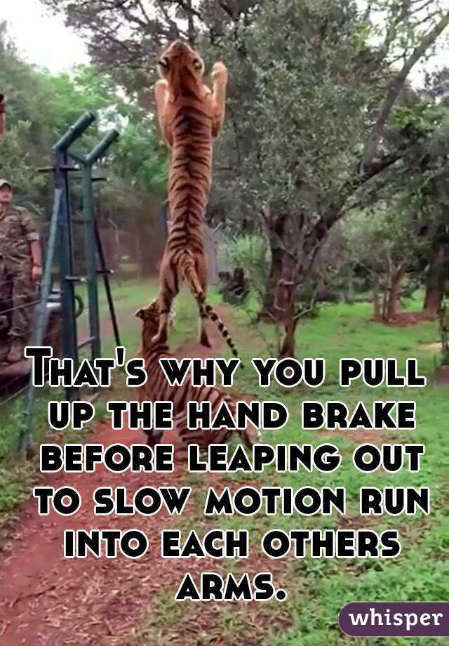 That's why you pull up the hand brake before leaping out to slow motion run into each others arms.