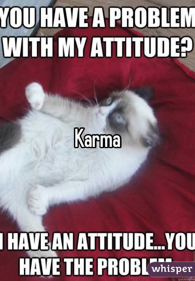 Karma 