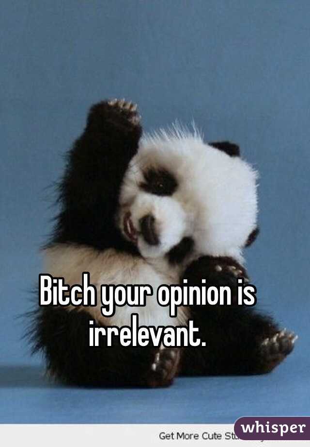 your opinion is irrelevant