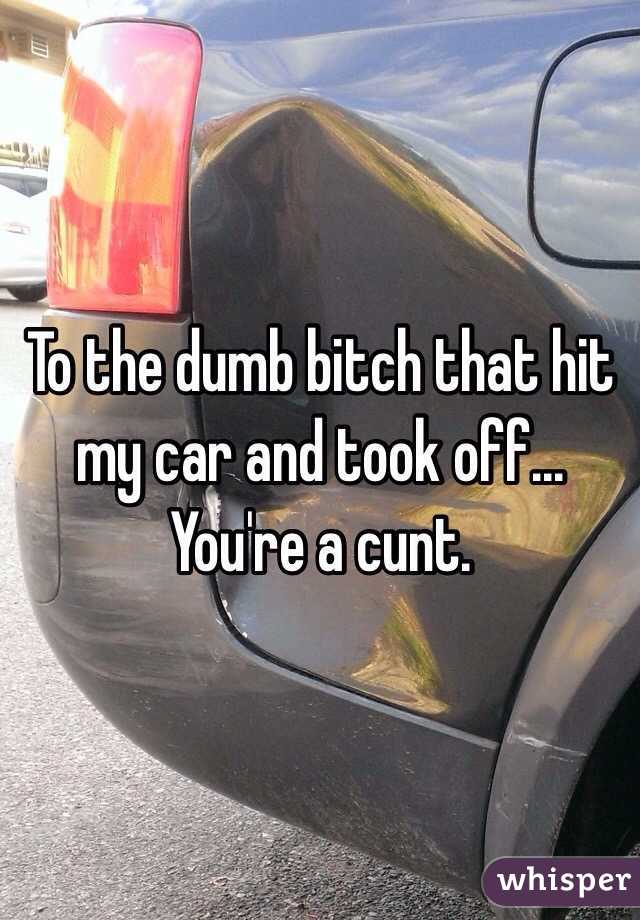 To the dumb bitch that hit my car and took off... You're a cunt.