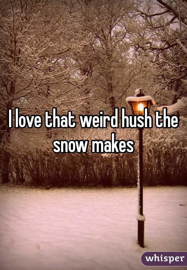 I love that weird hush the snow makes 