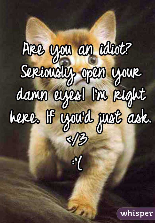 Are you an idiot? Seriously open your damn eyes! I'm right here. If you'd just ask. 
</3
:'(