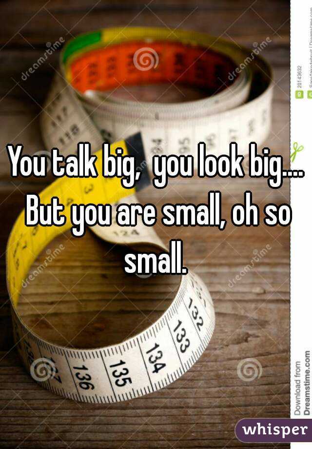 You talk big,  you look big.... But you are small, oh so small. 