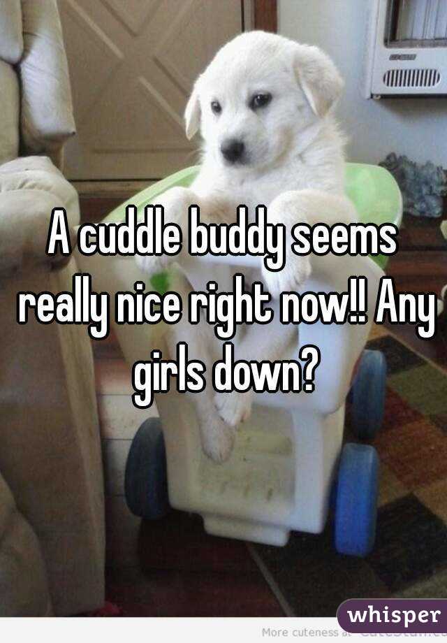 A cuddle buddy seems really nice right now!! Any girls down?