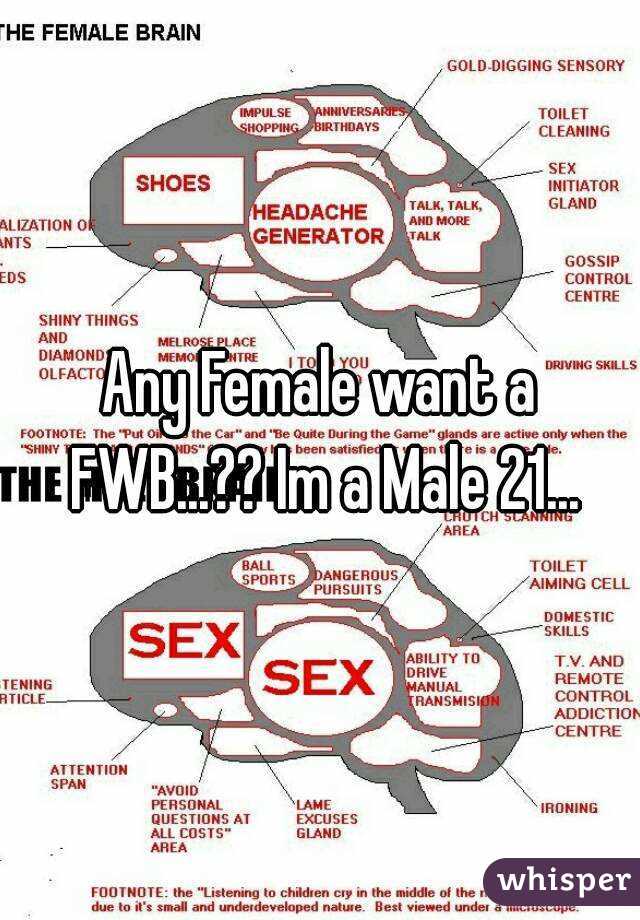Any Female want a FWB...?? Im a Male 21...