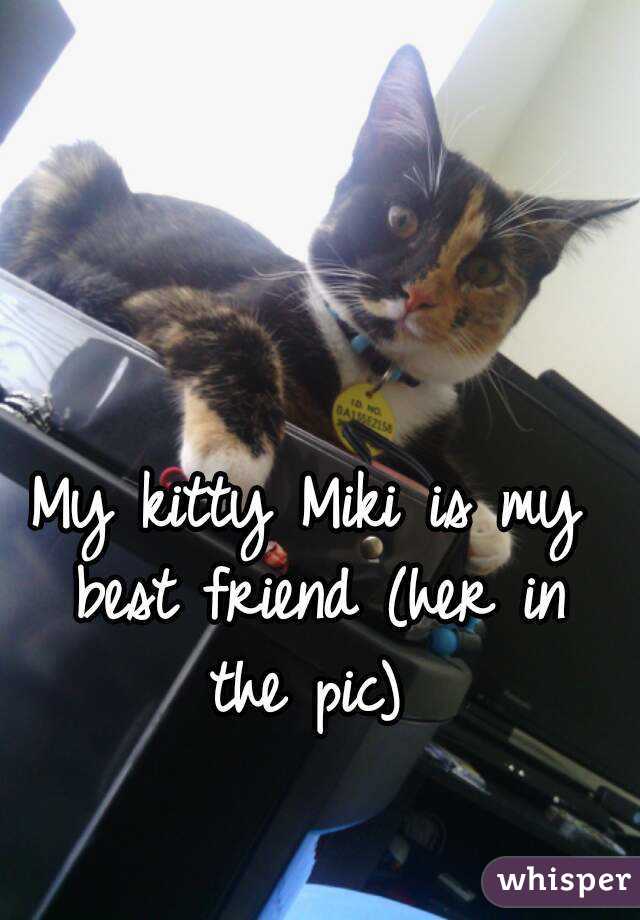 My kitty Miki is my best friend (her in the pic) 