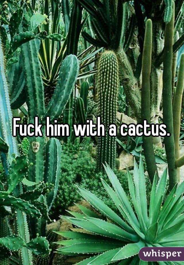 Fuck him with a cactus.