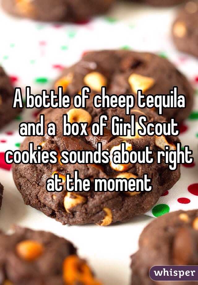 A bottle of cheep tequila and a  box of Girl Scout cookies sounds about right at the moment   