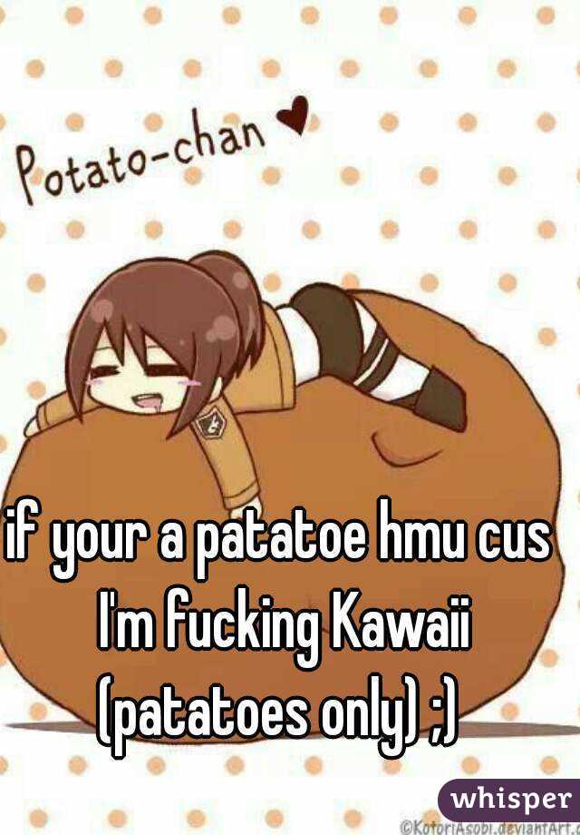 if your a patatoe hmu cus I'm fucking Kawaii (patatoes only) ;) 