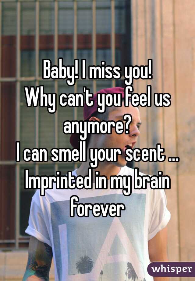 Baby! I miss you! 
Why can't you feel us anymore?
I can smell your scent ... Imprinted in my brain forever