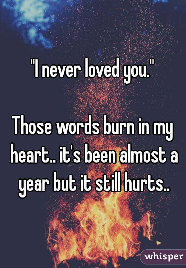 "I never loved you."

Those words burn in my heart.. it's been almost a year but it still hurts..