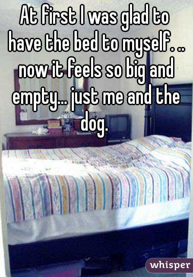 At first I was glad to have the bed to myself. .. now it feels so big and empty... just me and the dog. 