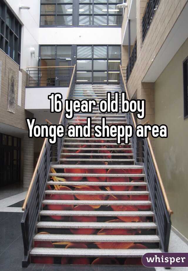 16 year old boy
Yonge and shepp area