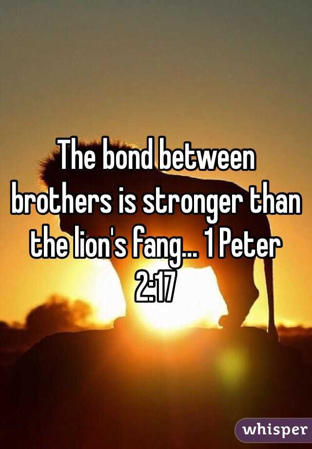 The bond between brothers is stronger than the lion's fang... 1 Peter 2:17