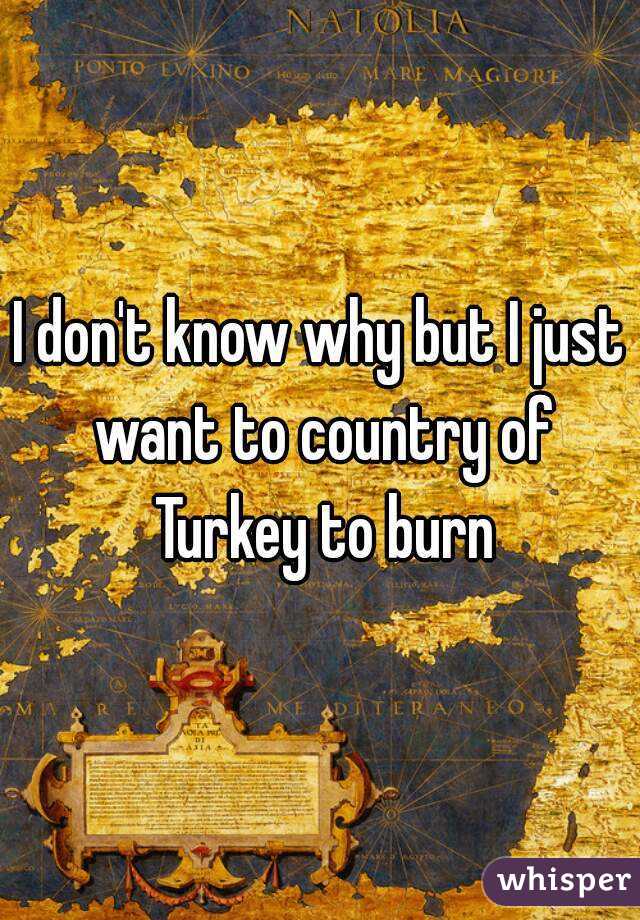 I don't know why but I just want to country of Turkey to burn