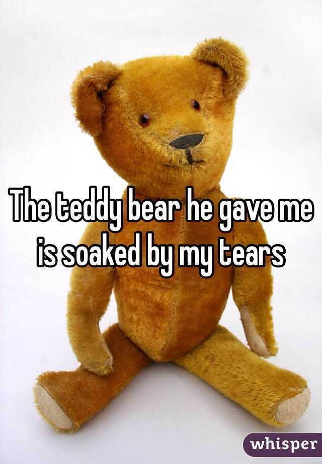 The teddy bear he gave me is soaked by my tears