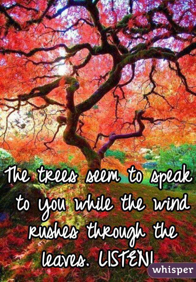 The trees seem to speak to you while the wind rushes through the leaves. LISTEN! 