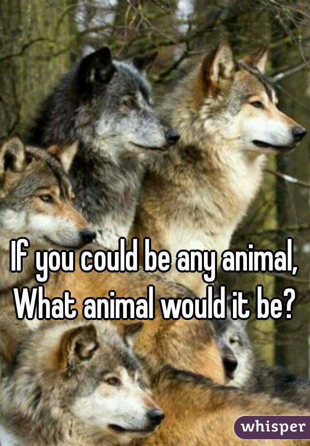 If you could be any animal, What animal would it be? 
