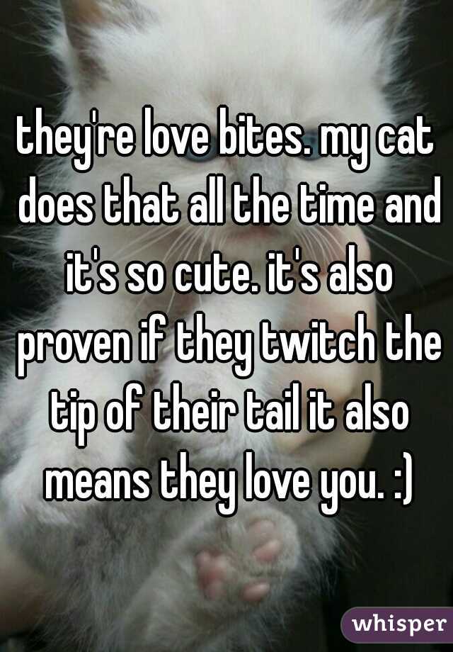 they're love bites. my cat does that all the time and it's so cute. it's also proven if they twitch the tip of their tail it also means they love you. :)