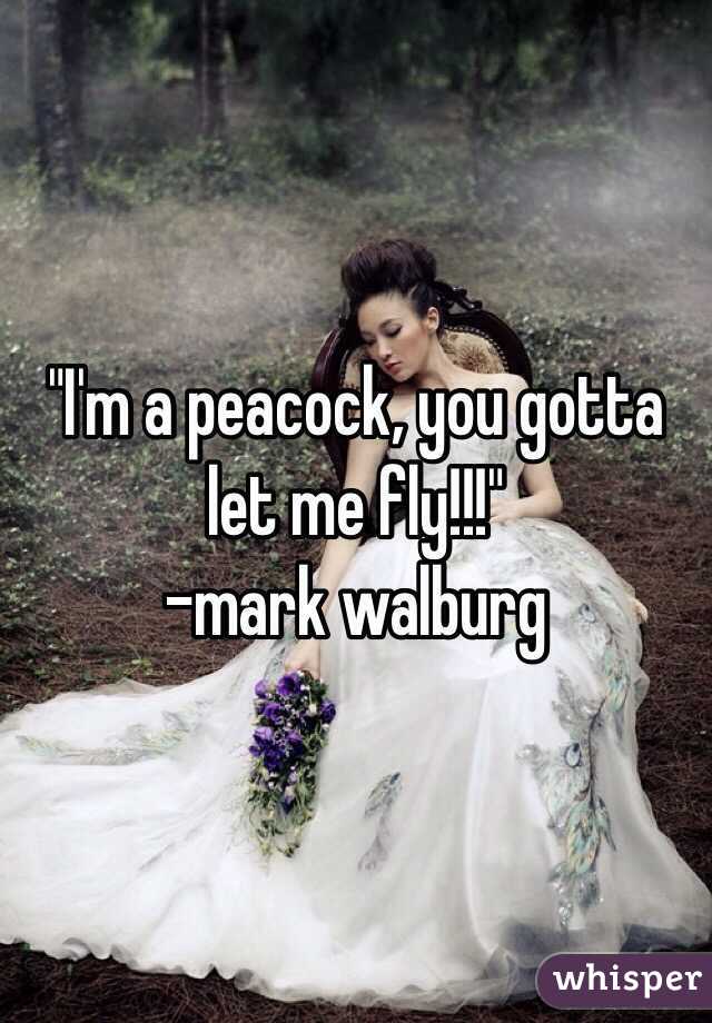"I'm a peacock, you gotta let me fly!!!"
-mark walburg