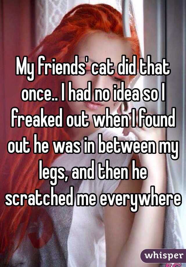 My friends' cat did that once.. I had no idea so I freaked out when I found out he was in between my legs, and then he scratched me everywhere 