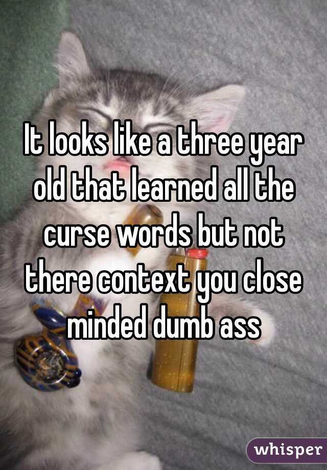It looks like a three year old that learned all the curse words but not there context you close minded dumb ass