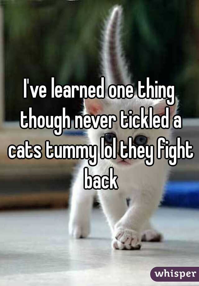 I've learned one thing though never tickled a cats tummy lol they fight back