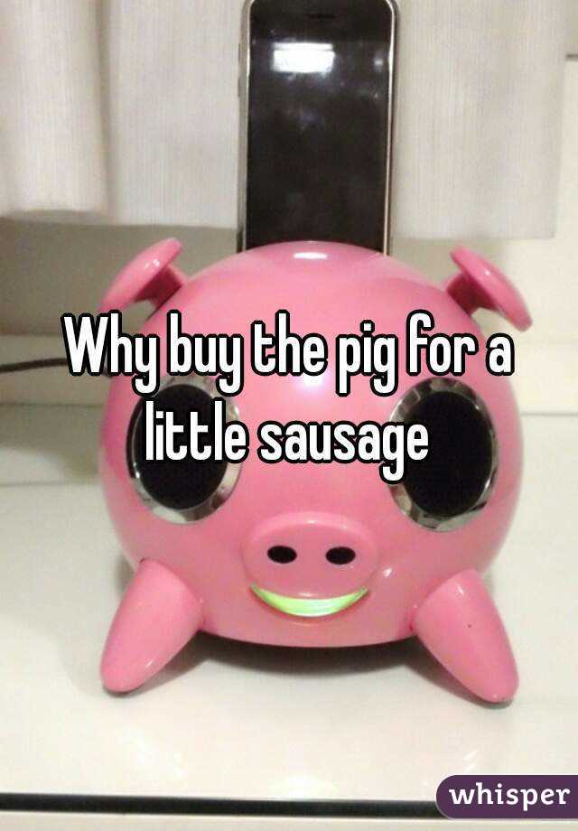 Why buy the pig for a little sausage 