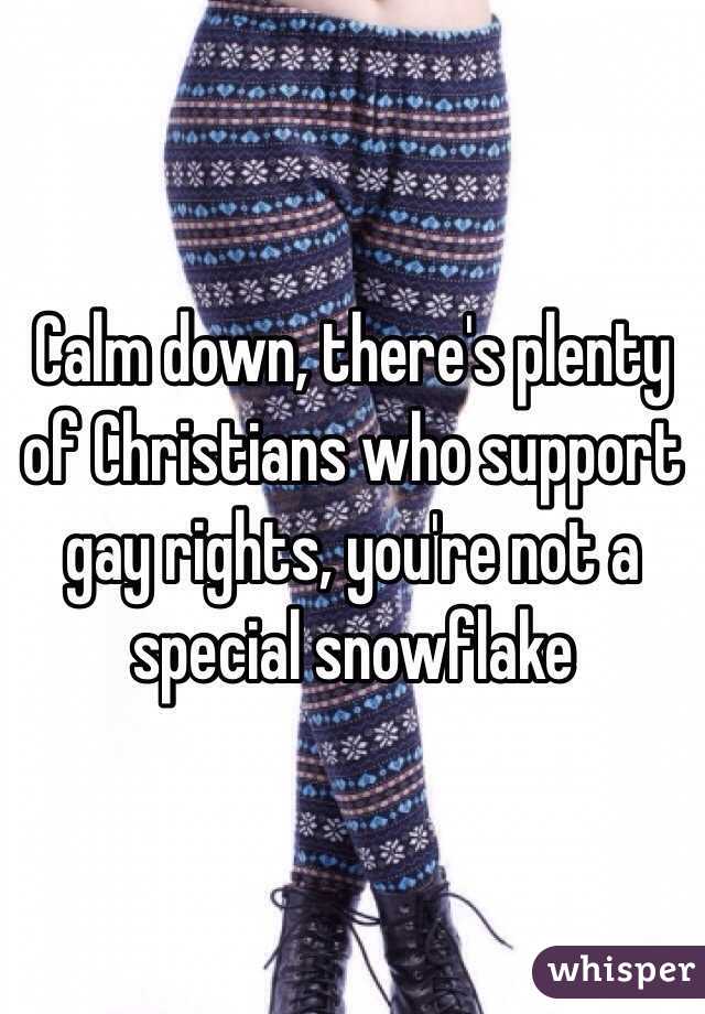 Calm down, there's plenty of Christians who support gay rights, you're not a special snowflake