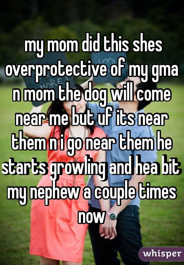  my mom did this shes overprotective of my gma n mom the dog will come near me but uf its near them n i go near them he starts growling and hea bit my nephew a couple times now 