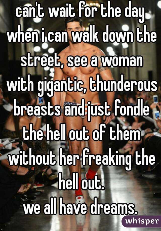 can't wait for the day when i can walk down the street, see a woman with gigantic, thunderous breasts and just fondle the hell out of them without her freaking the hell out.
we all have dreams.