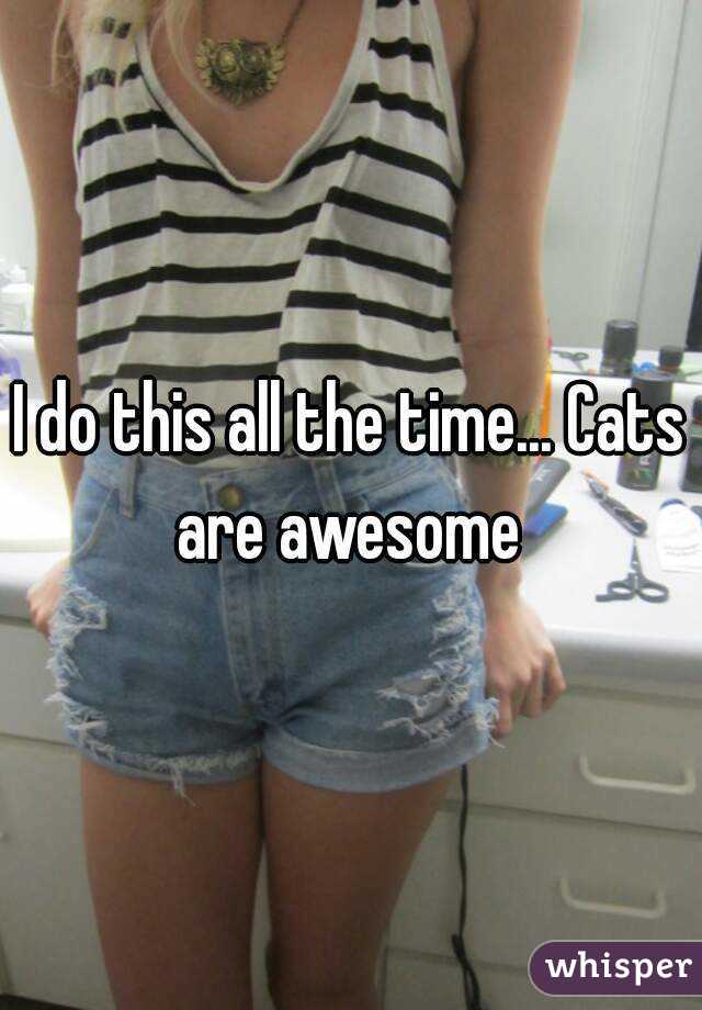 I do this all the time... Cats are awesome 